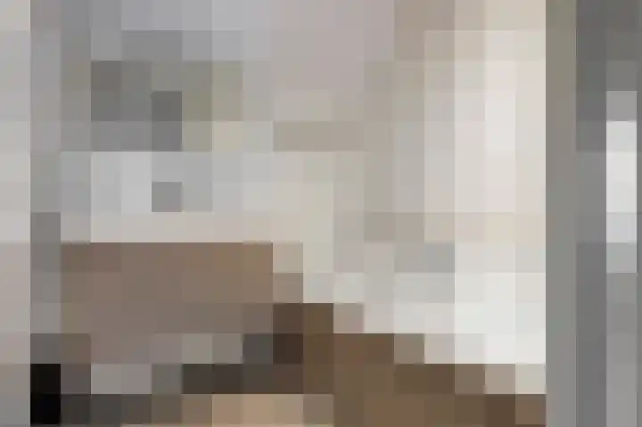 Eendenveld 35 Emmen thumbnail 18