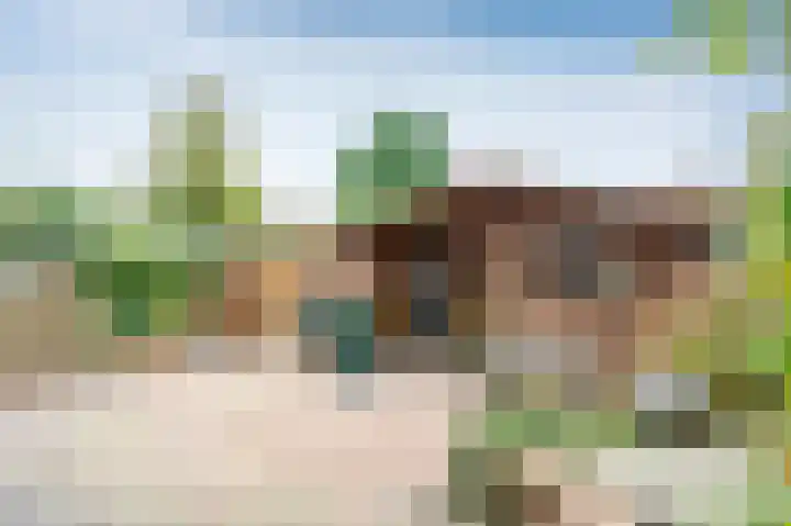 Eendenveld 35 Emmen thumbnail 21