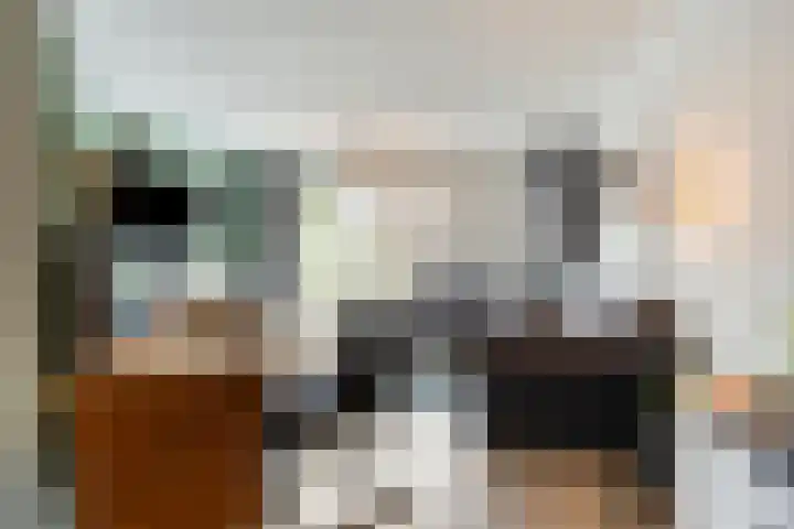 Eendenveld 9 Zoetermeer thumbnail 11