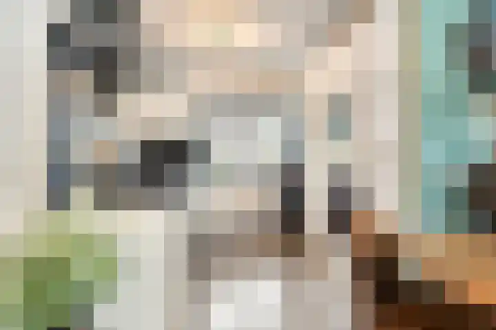 Eendenveld 9 Zoetermeer thumbnail 12