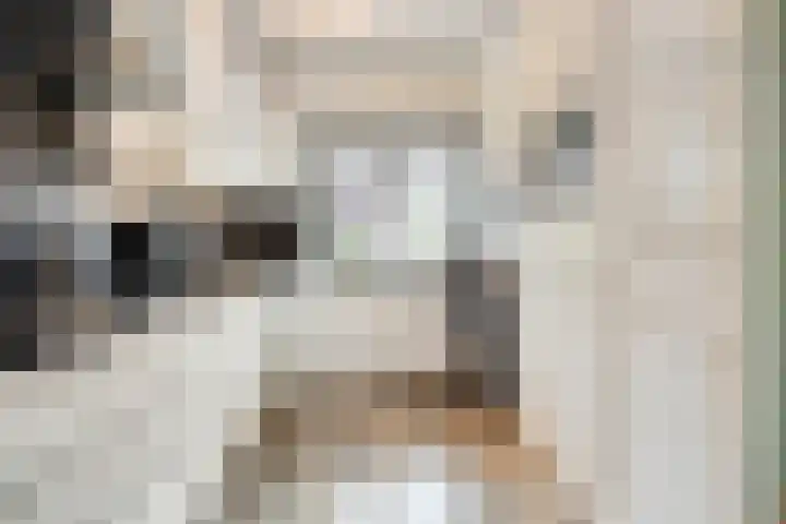 Eendenveld 9 Zoetermeer thumbnail 13