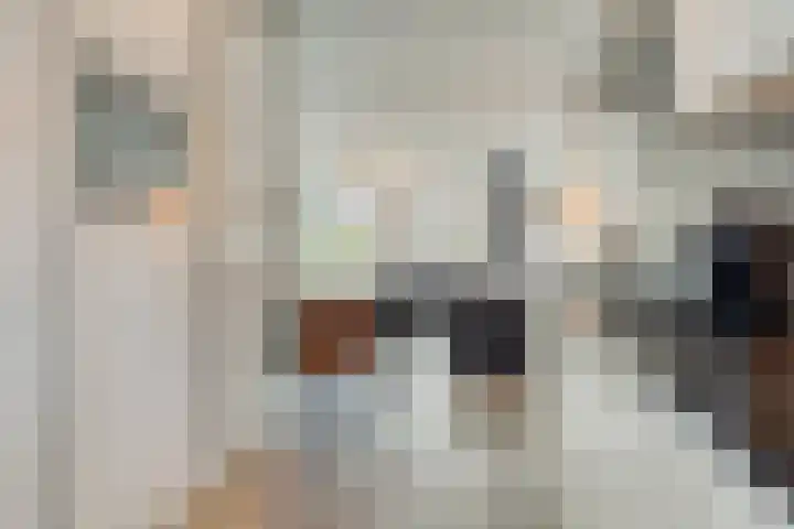 Eendenveld 9 Zoetermeer thumbnail 15