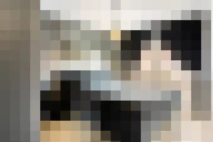 Eendenveld 9 Zoetermeer thumbnail 16