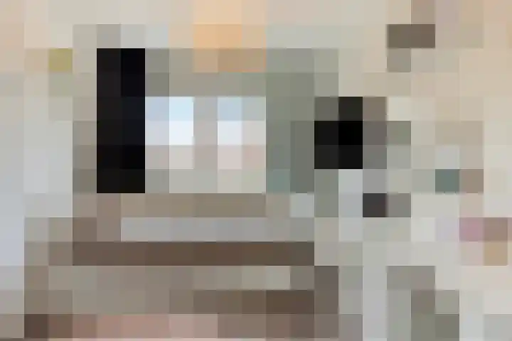 Eendenveld 9 Zoetermeer thumbnail 17