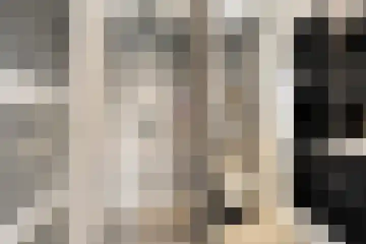 Eendenveld 9 Zoetermeer thumbnail 19