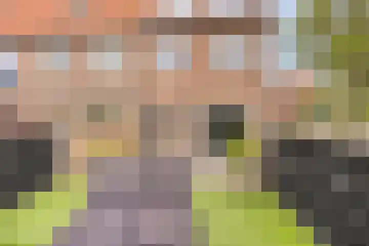 Eendenveld 9 Zoetermeer thumbnail 26
