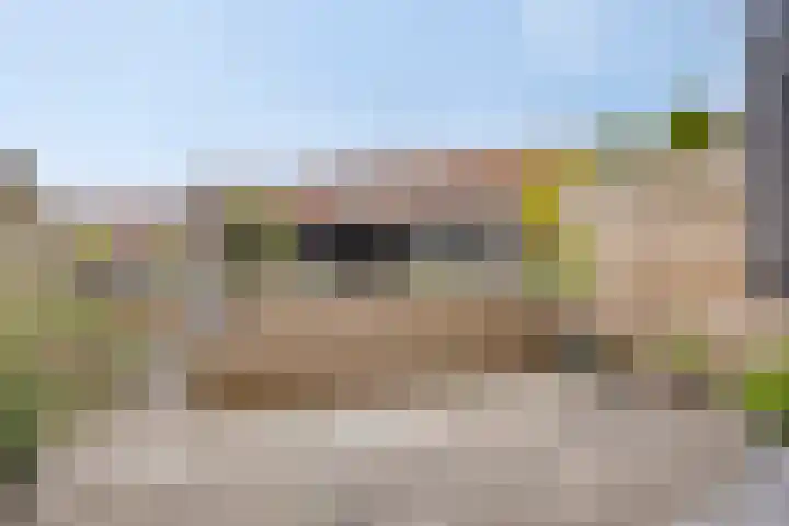 Eendenveld 9 Zoetermeer thumbnail 27