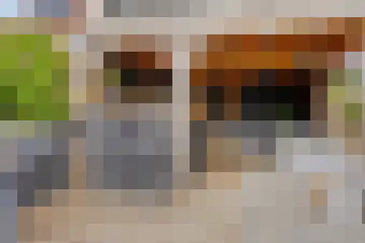 Eendenveld 9 Zoetermeer thumbnail 29