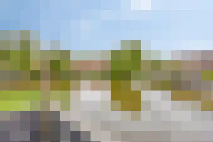 Eendenveld 9 Zoetermeer thumbnail 34