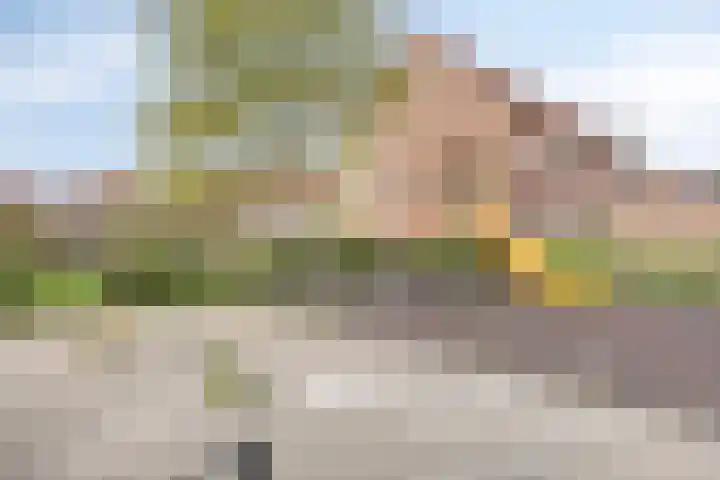 Eendenveld 9 Zoetermeer thumbnail 37
