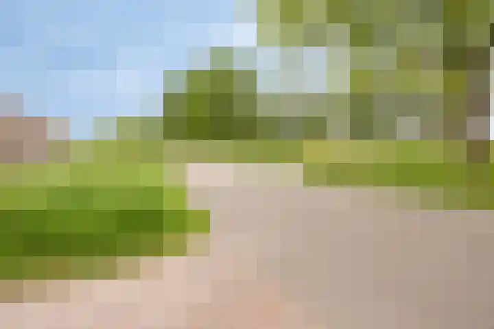 Eendenveld 9 Zoetermeer thumbnail 38