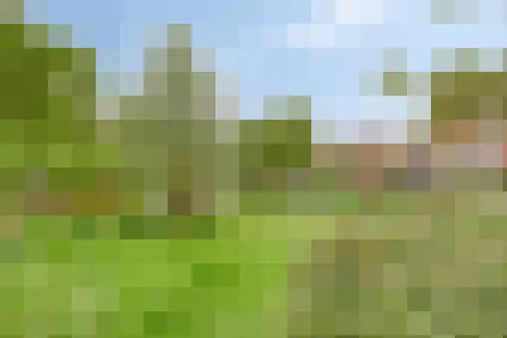 Eendenveld 9 Zoetermeer thumbnail 39