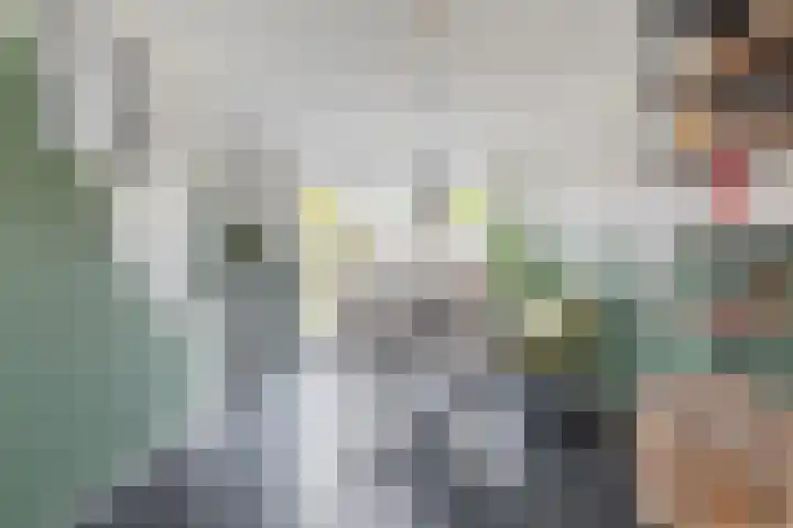 Eendenveld 90 Emmen thumbnail 17