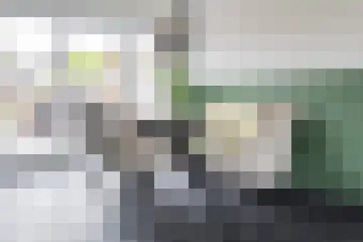 Eendenveld 90 Emmen thumbnail 18