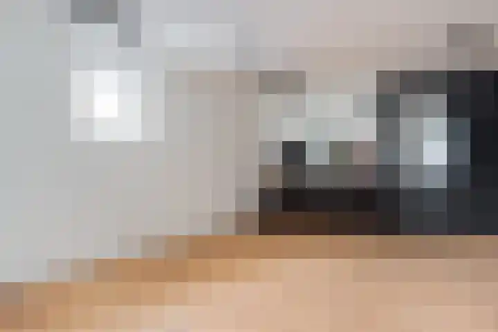 Eendenveld 90 Emmen thumbnail 35