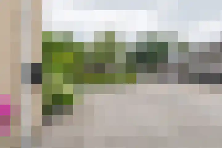Eendenveld 90 Emmen thumbnail 5