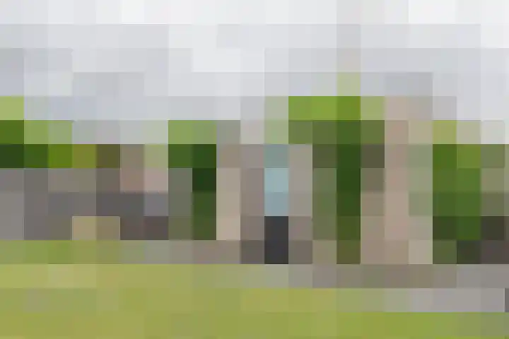 Eendenveld 90 Emmen thumbnail 62
