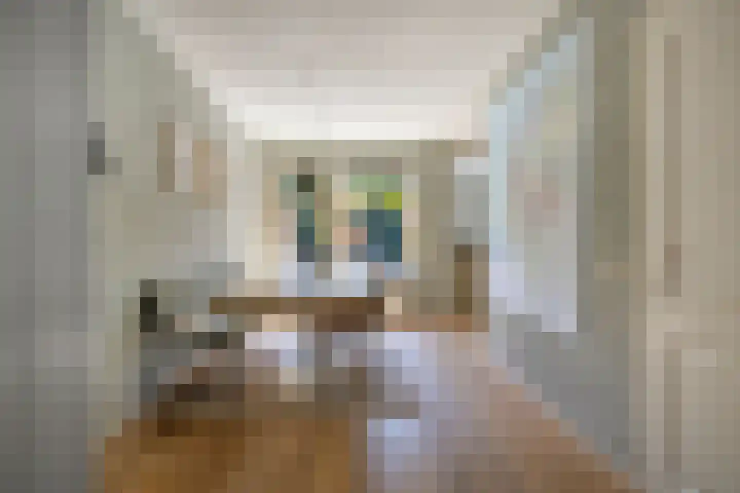 Eendmesschen 8 Assen thumbnail 17