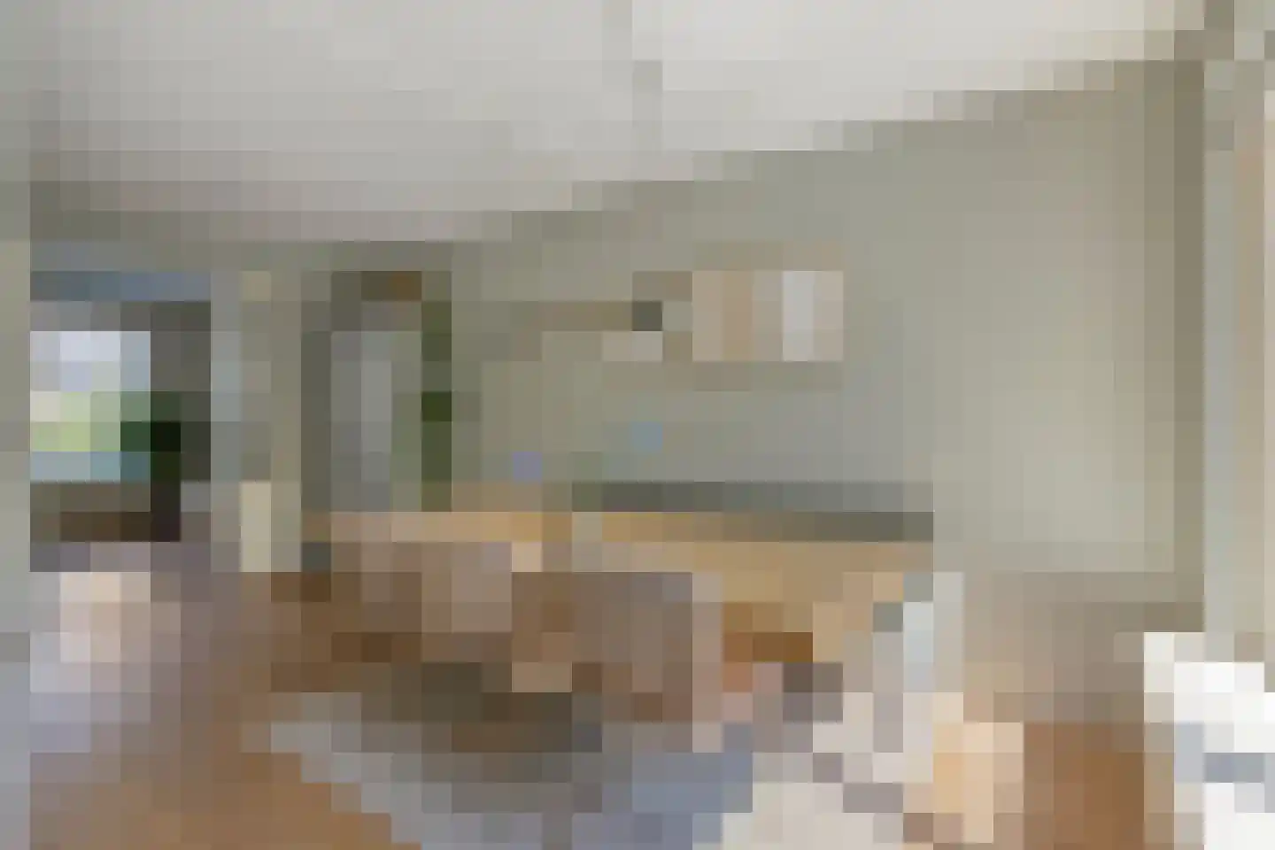 Eendmesschen 8 Assen thumbnail 18