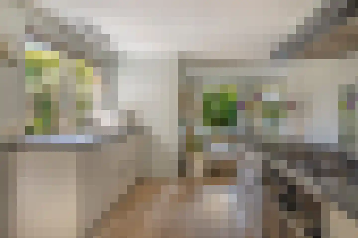 Eendmesschen 8 Assen thumbnail 22