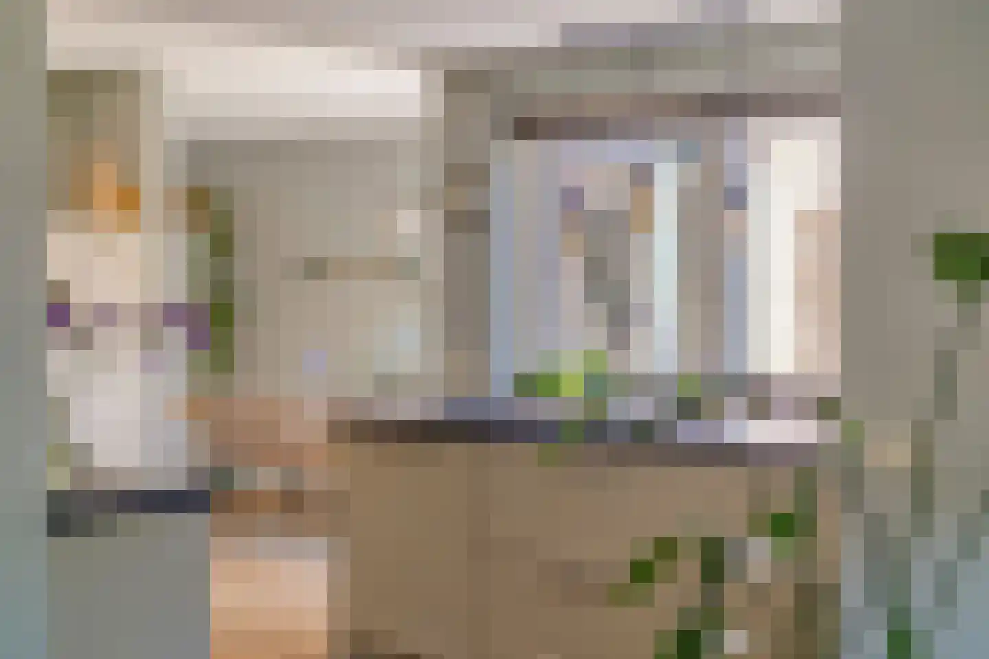 Eendmesschen 8 Assen thumbnail 23