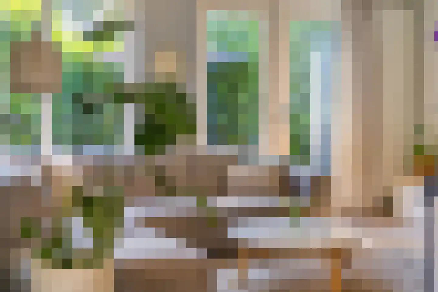 Eendmesschen 8 Assen thumbnail 25