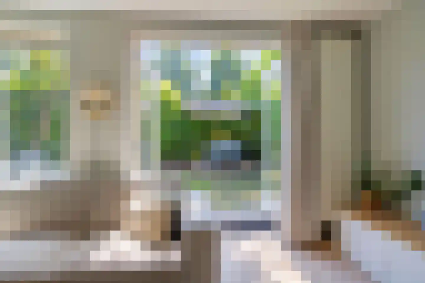 Eendmesschen 8 Assen thumbnail 27