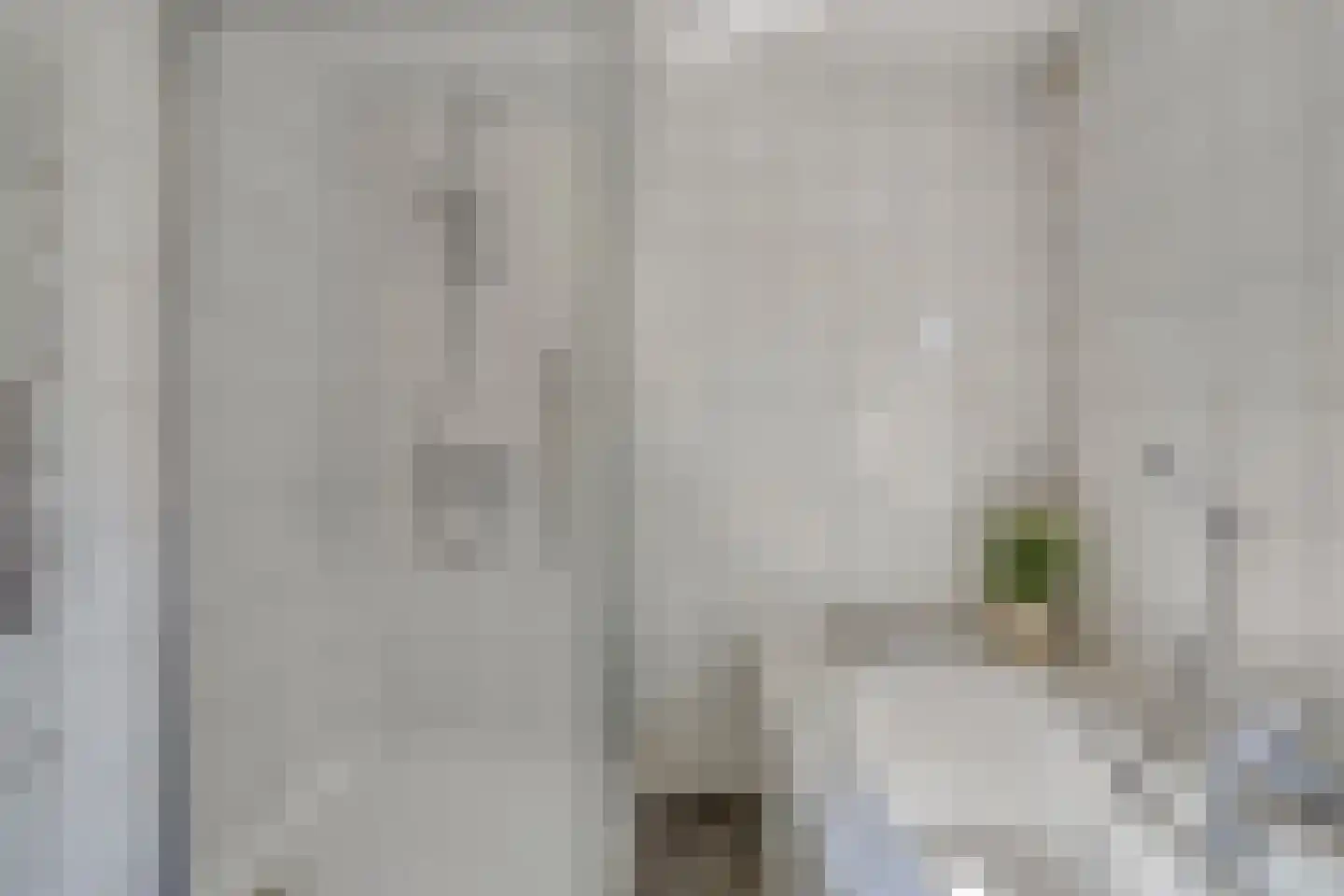 Eendmesschen 8 Assen thumbnail 39