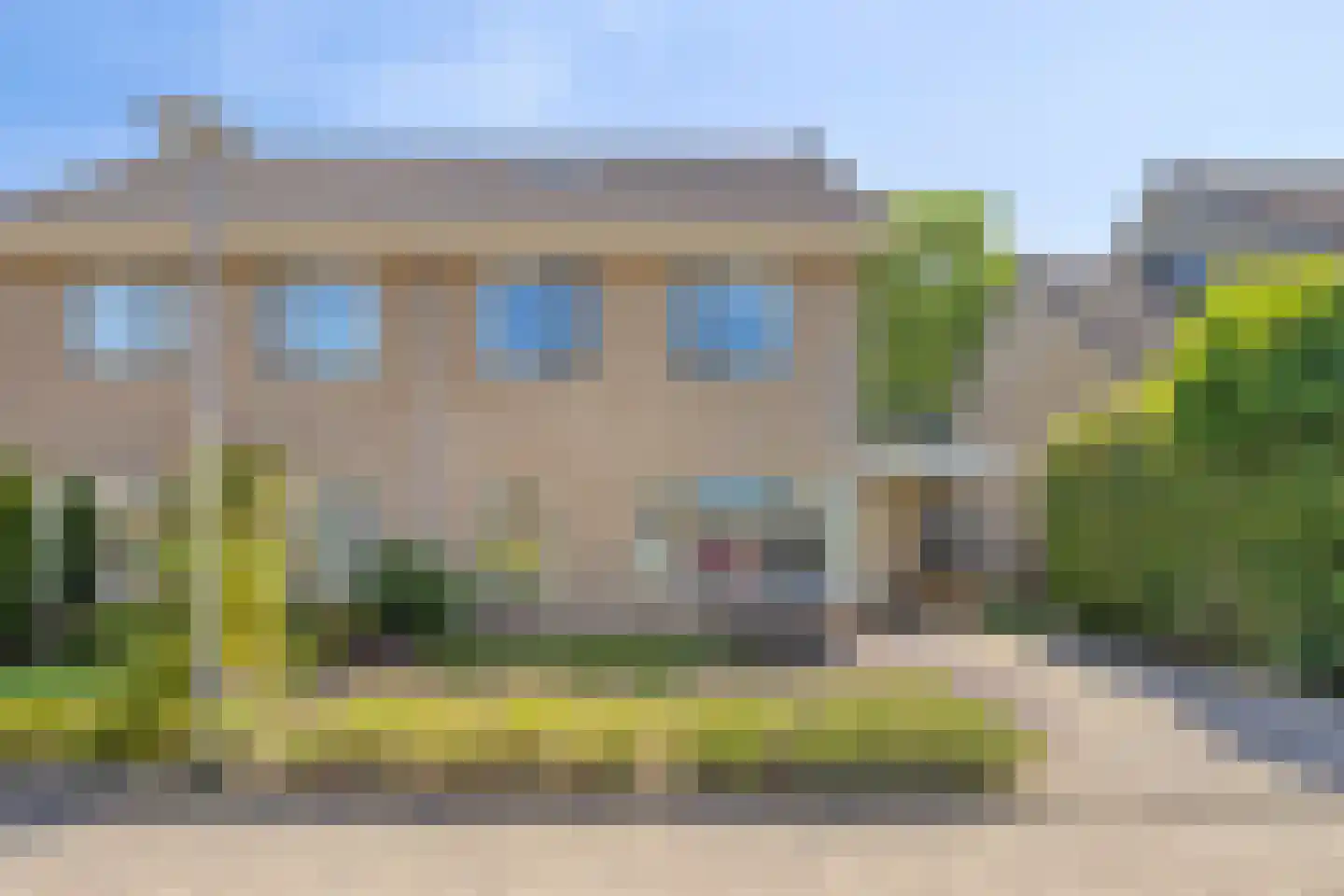 Eendmesschen 8 Assen thumbnail 4
