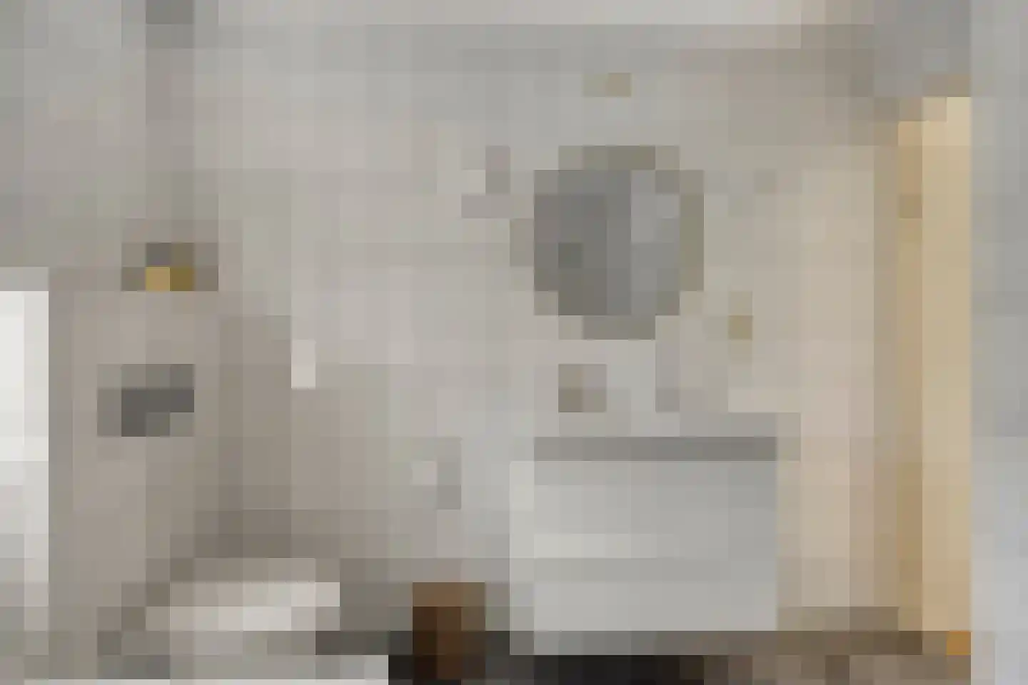 Eendmesschen 8 Assen thumbnail 40