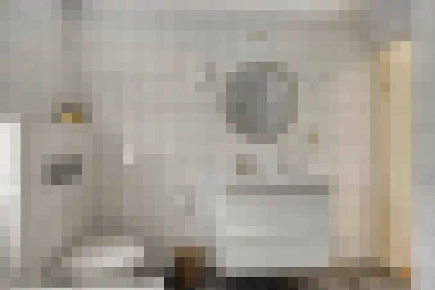 Eendmesschen 8 Assen thumbnail 41