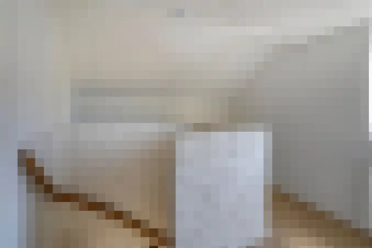 Eendmesschen 8 Assen thumbnail 42