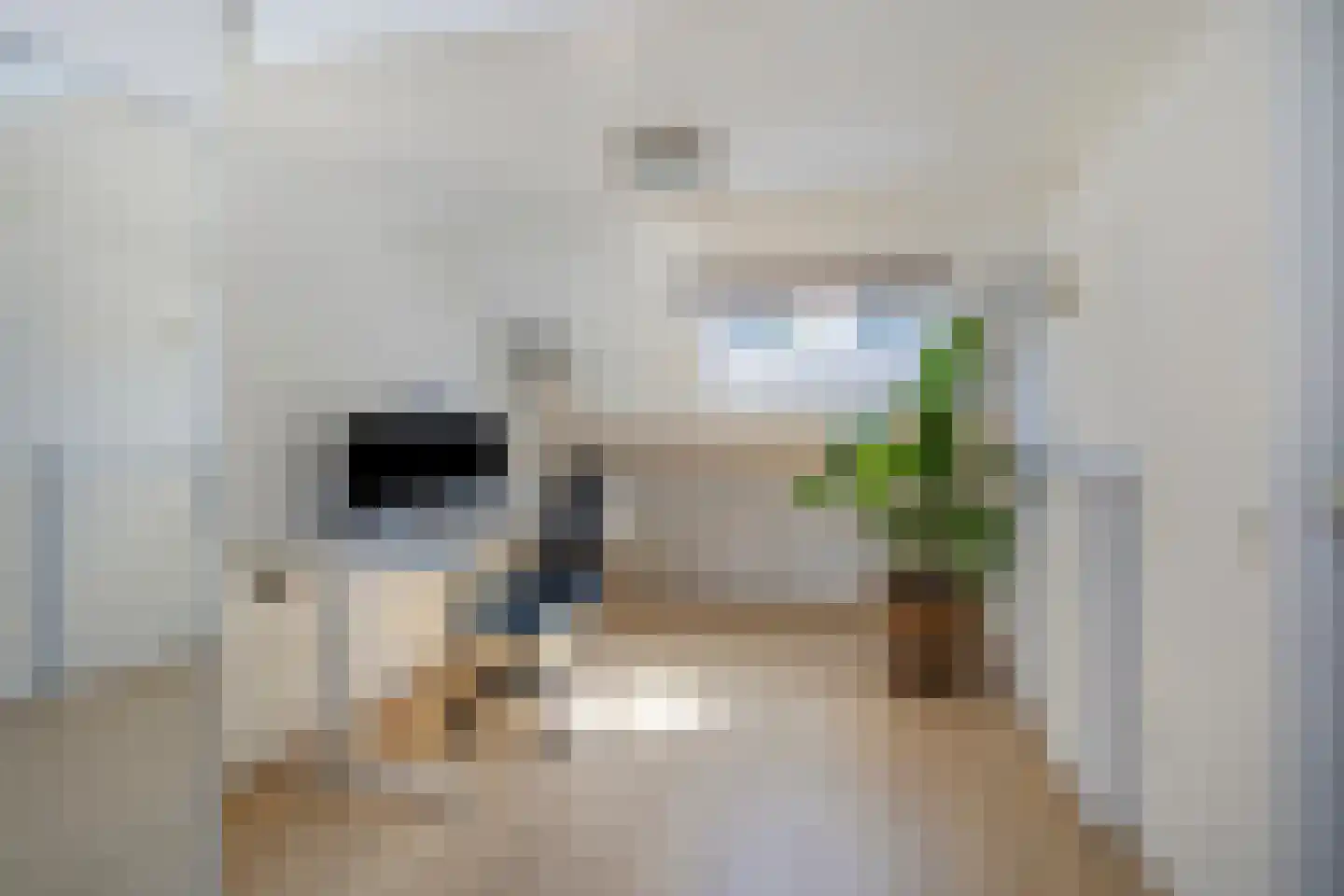 Eendmesschen 8 Assen thumbnail 43