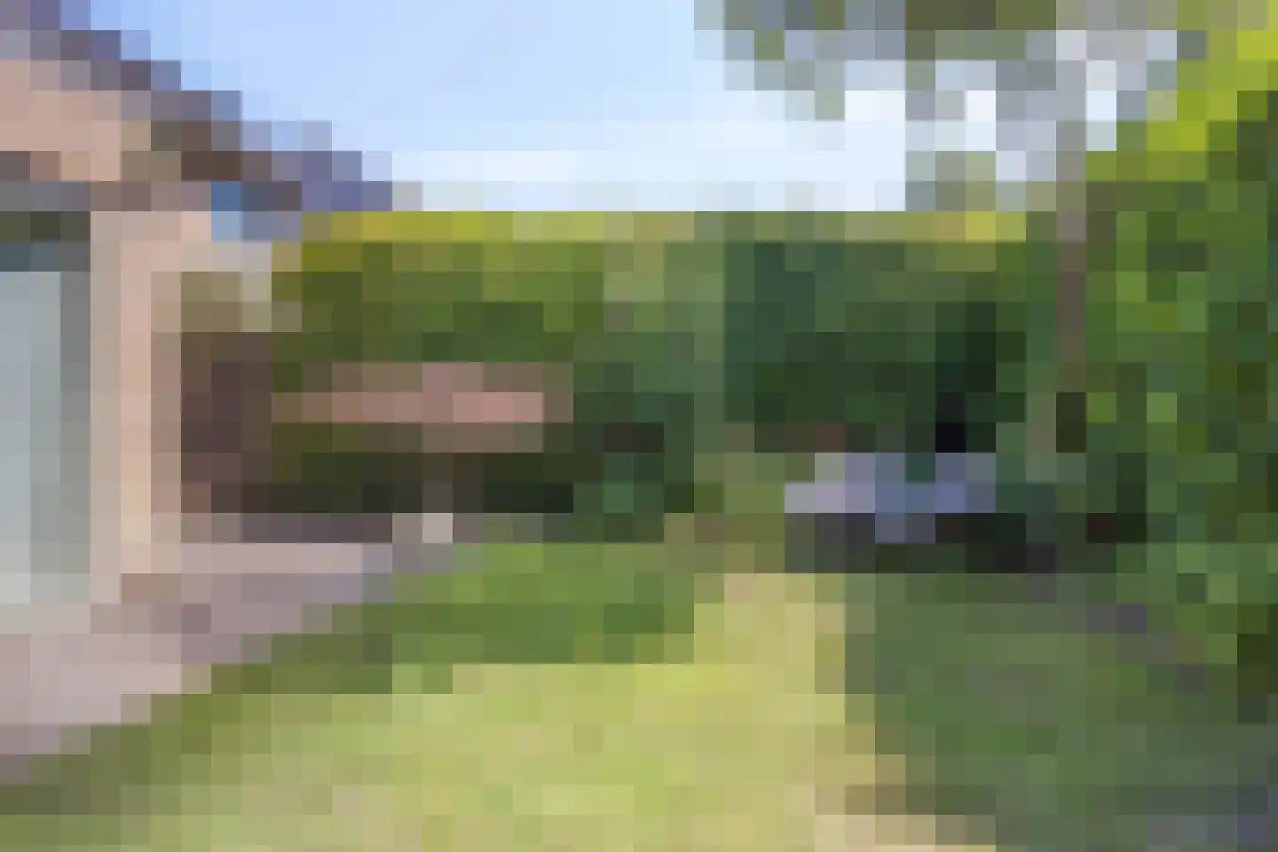 Eendmesschen 8 Assen thumbnail 46