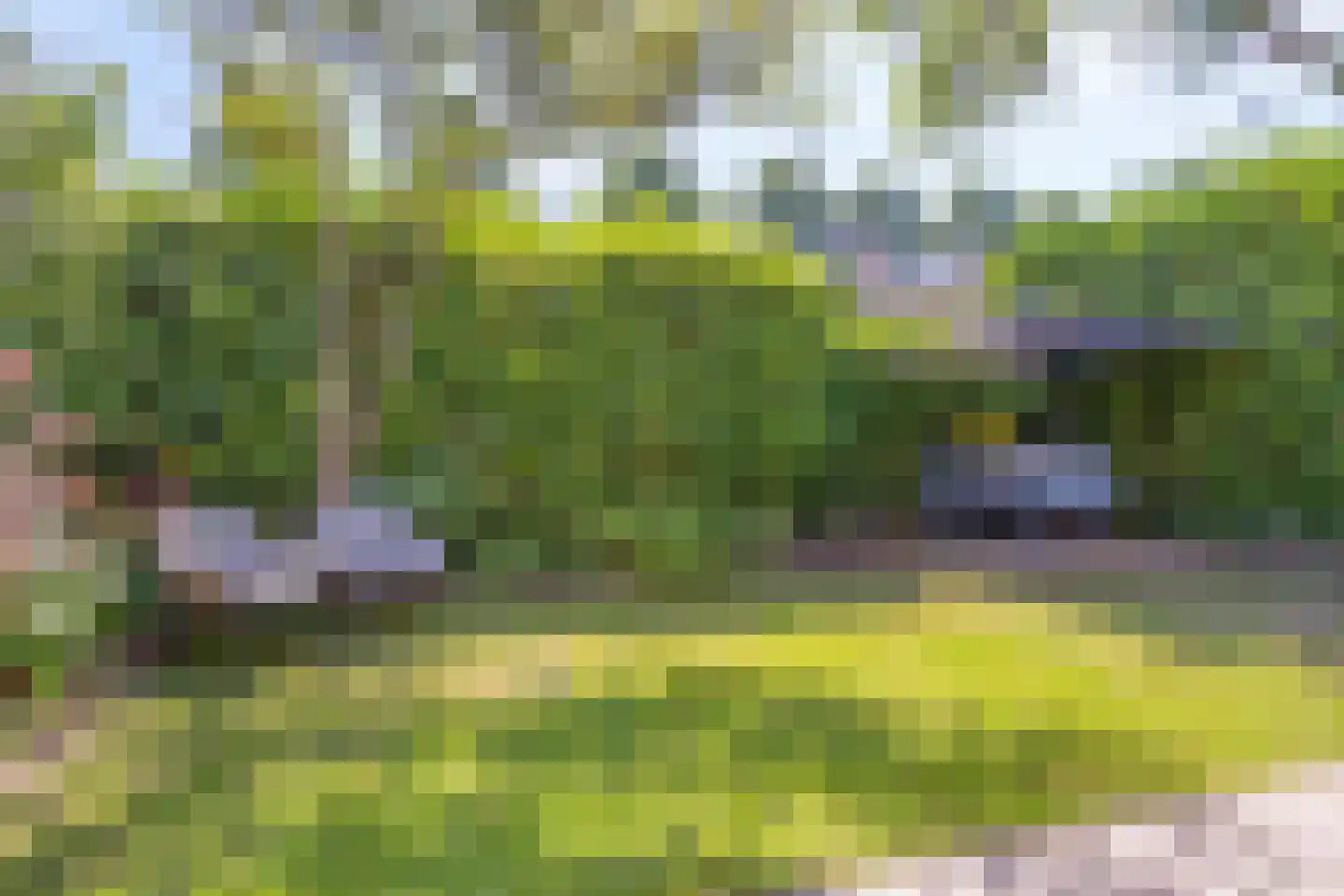 Eendmesschen 8 Assen thumbnail 47