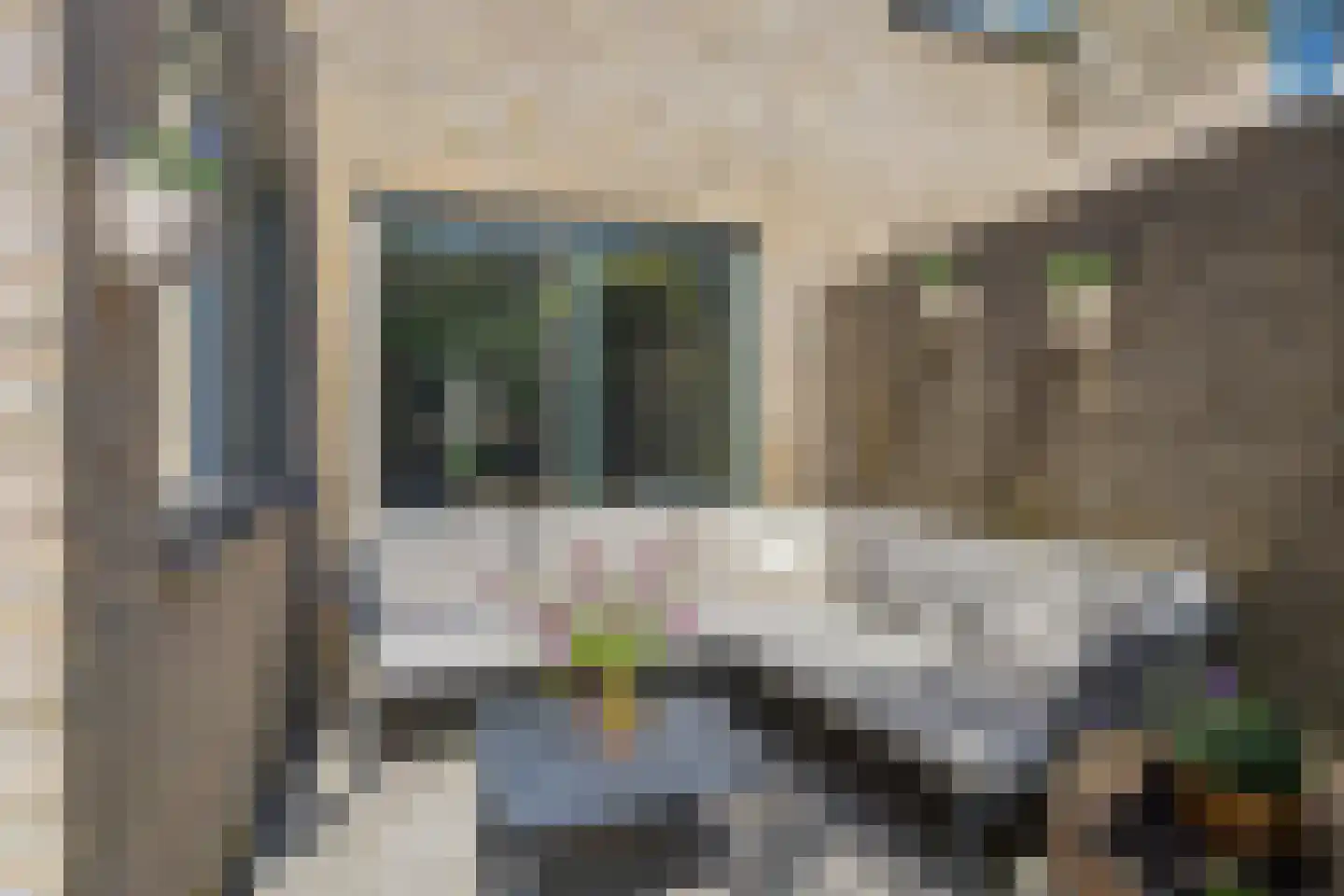 Eendmesschen 8 Assen thumbnail 48