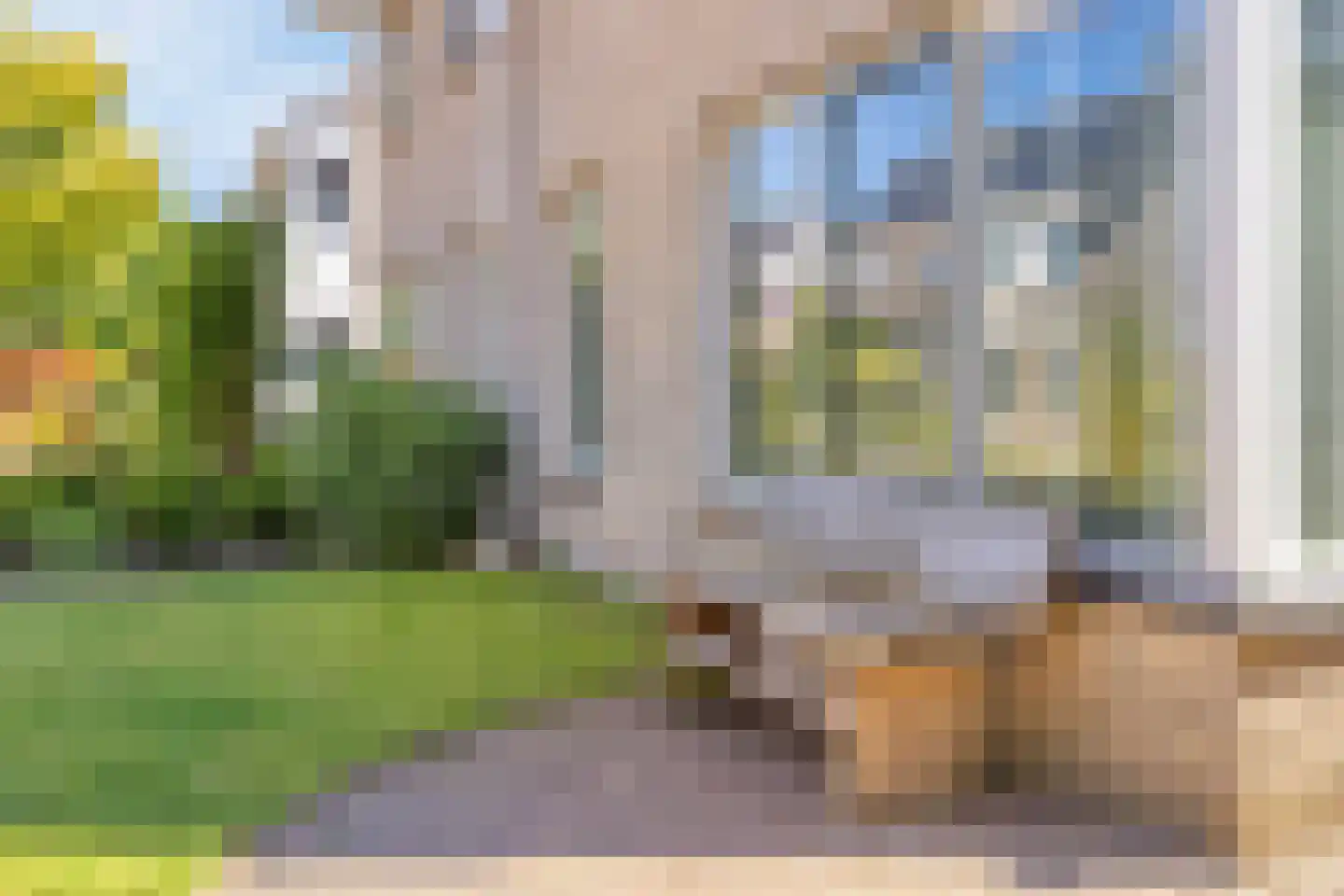 Eendmesschen 8 Assen thumbnail 5