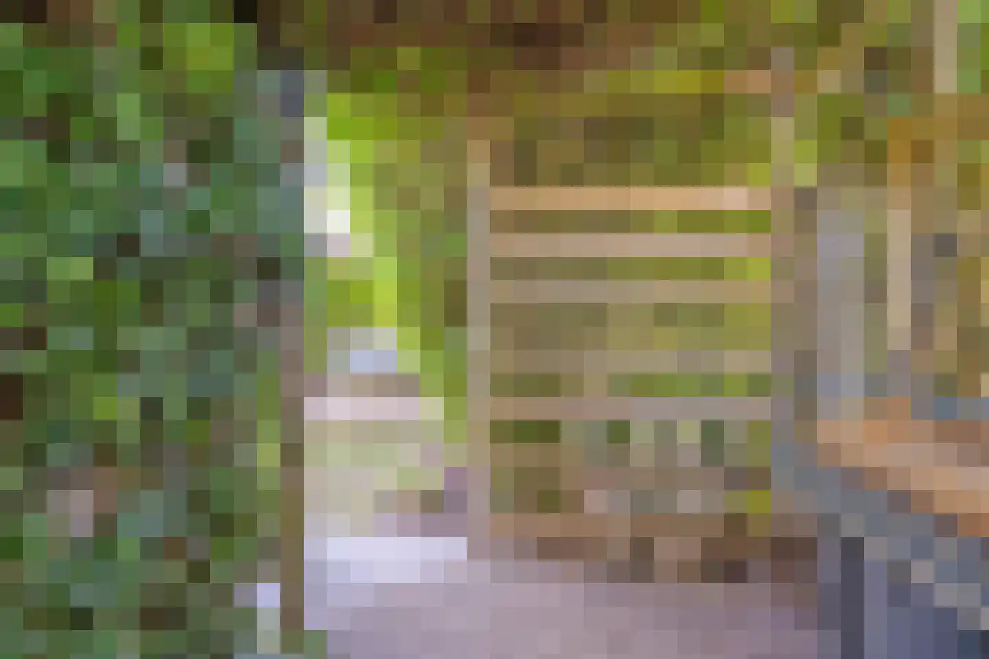 Eendmesschen 8 Assen thumbnail 50