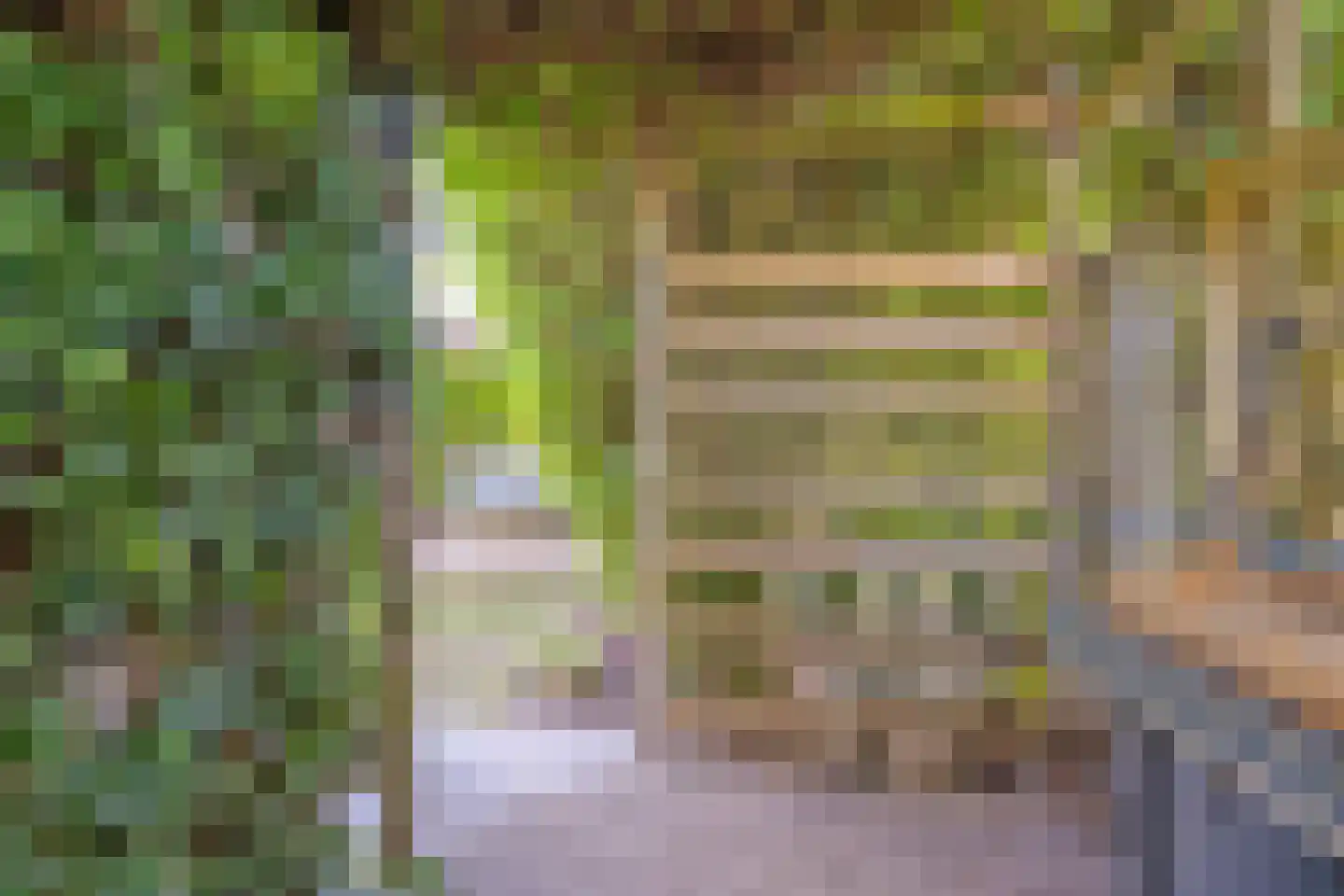 Eendmesschen 8 Assen thumbnail 51