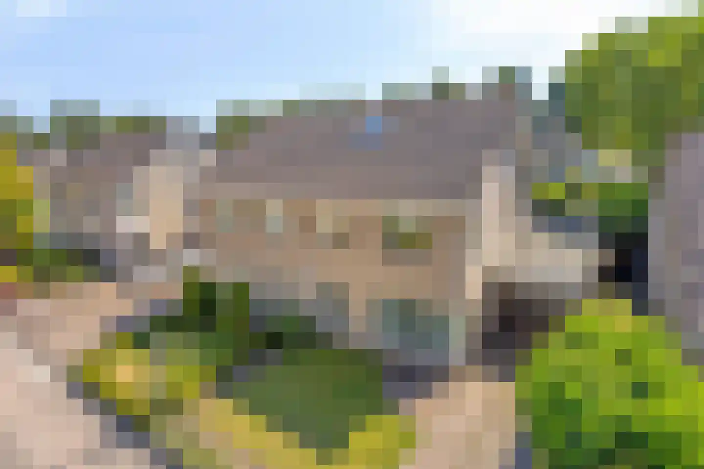 Eendmesschen 8 Assen thumbnail 53