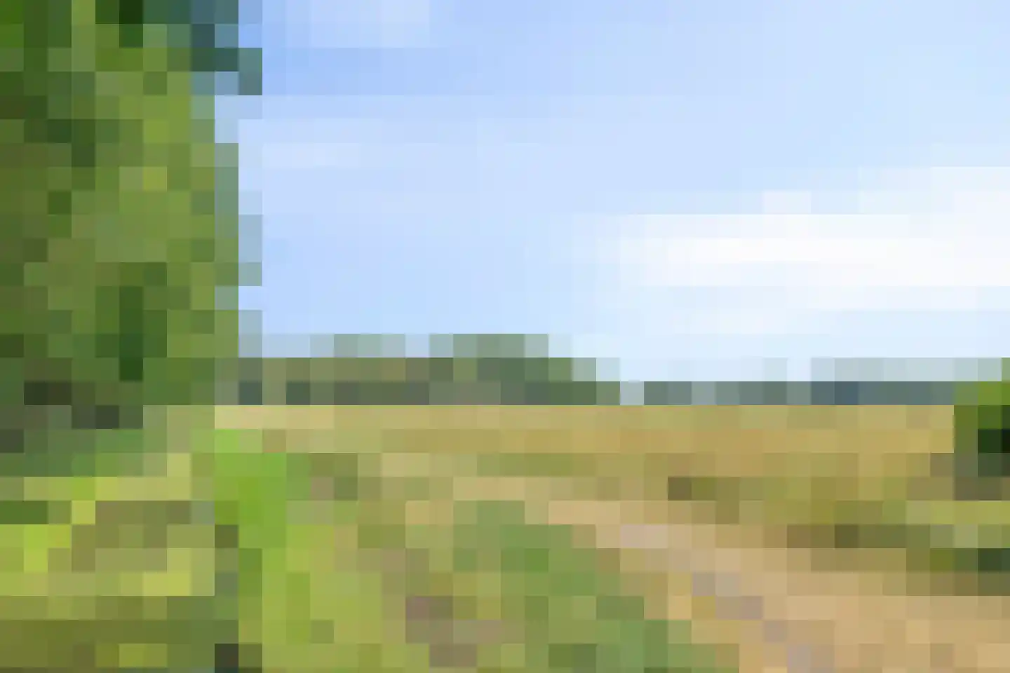 Eendmesschen 8 Assen thumbnail 54