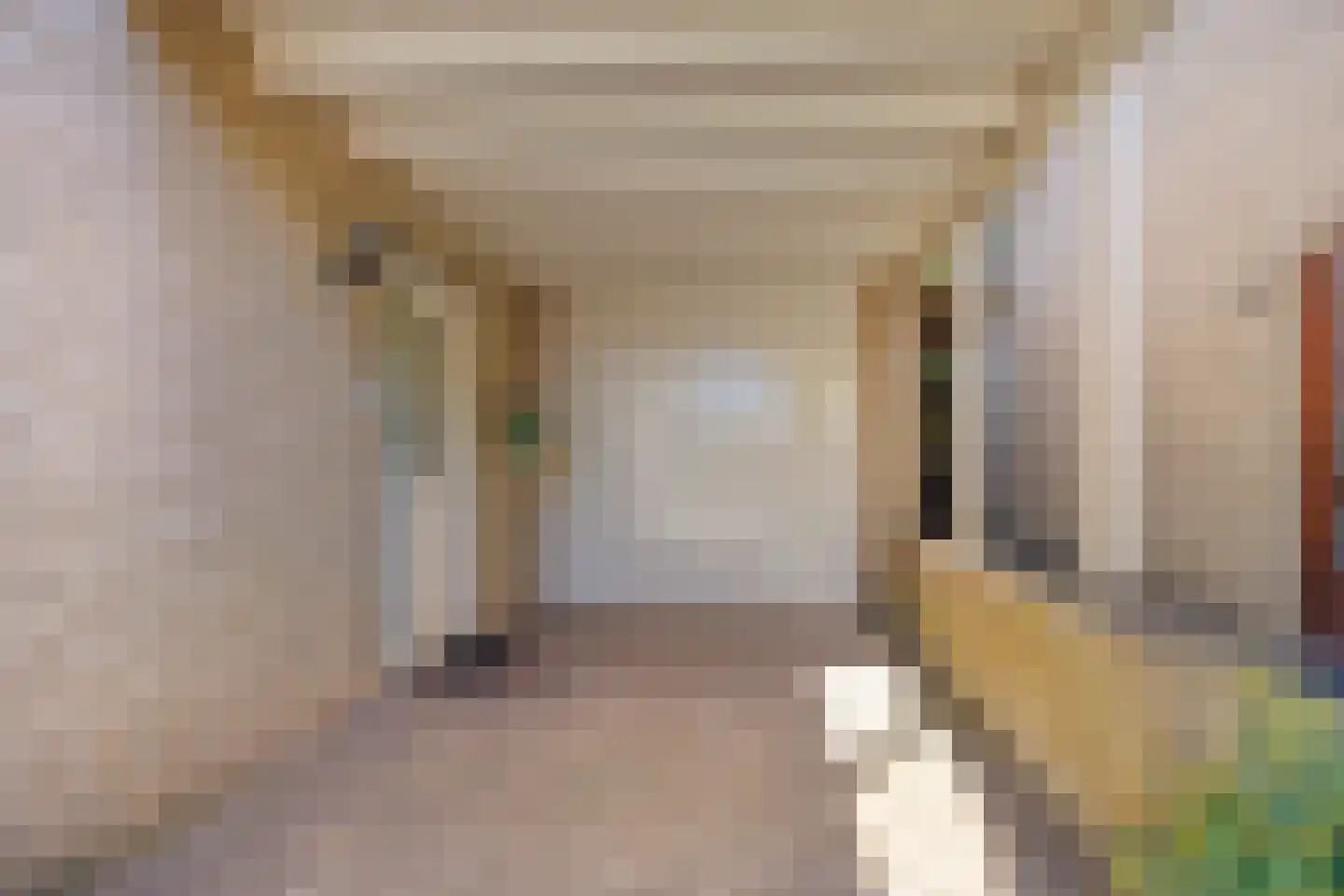 Eendmesschen 8 Assen thumbnail 6