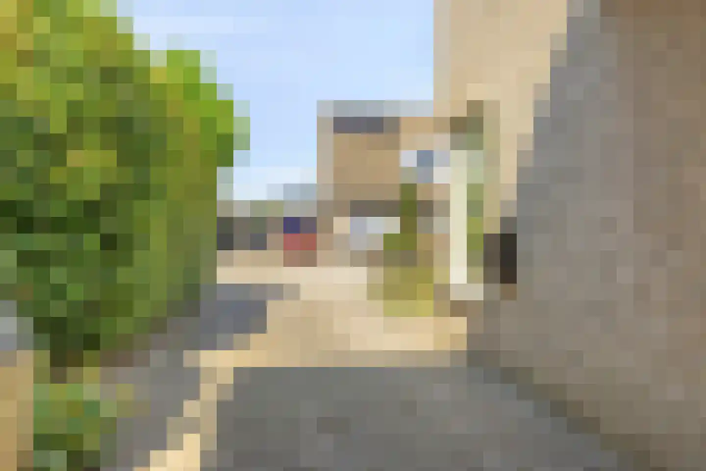 Eendmesschen 8 Assen thumbnail 7