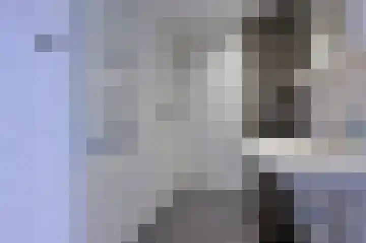 Eendracht 1 Wilnis thumbnail 12