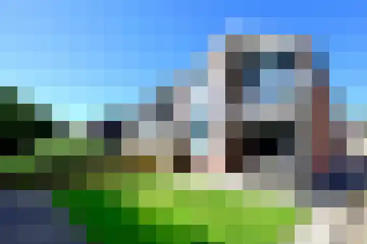 Eendracht 1 Wilnis thumbnail 13