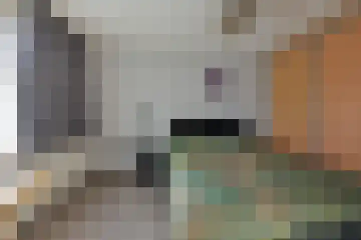 Eendracht 1 Wilnis thumbnail 8