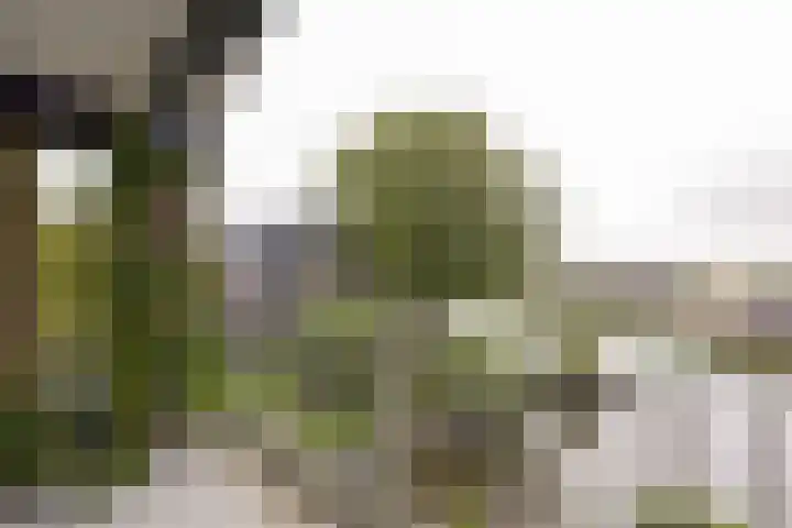 Eendracht 10 Wilnis thumbnail 12