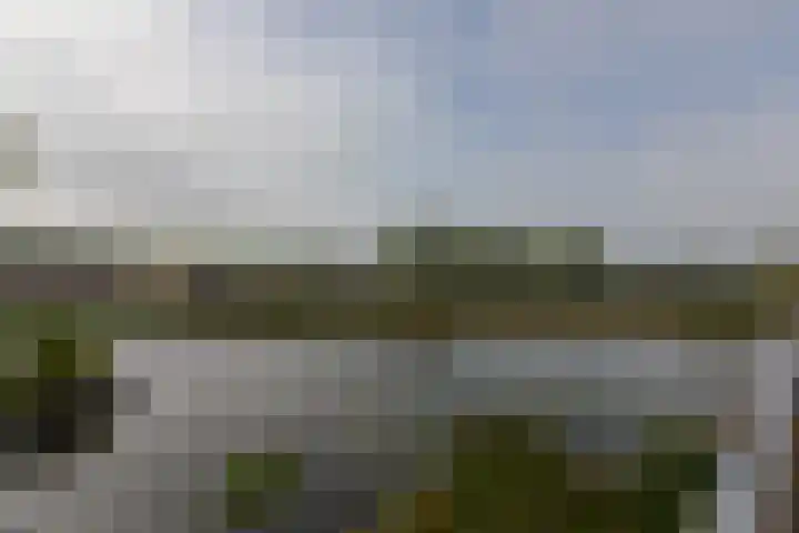 Eendracht 10 Wilnis thumbnail 13