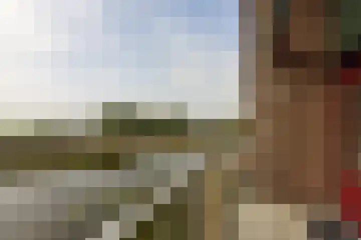 Eendracht 10 Wilnis thumbnail 14
