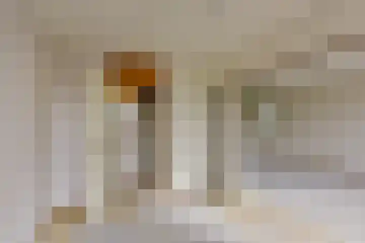 Eendracht 10 Wilnis thumbnail 9